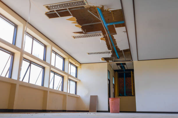 Best Carpet water damage restoration  in University, MS