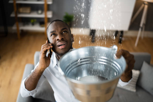 Best Carpet water damage restoration  in University, MS