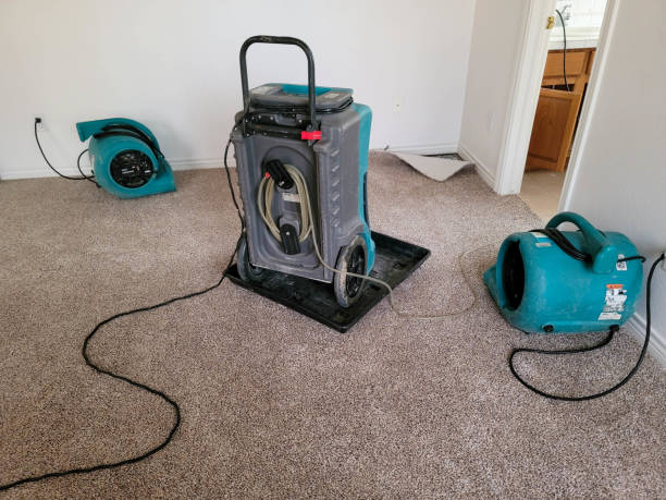 Carpet water damage restoration in University, MS