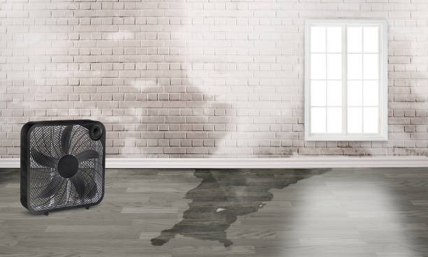 Best Fire Damage Restoration  in University, MS