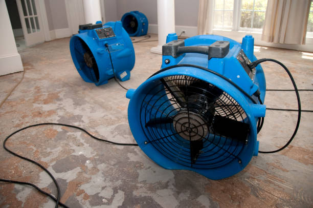Best Water damage restoration near me  in University, MS