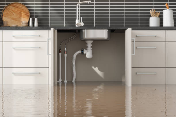 Best Flood damage cleanup  in University, MS