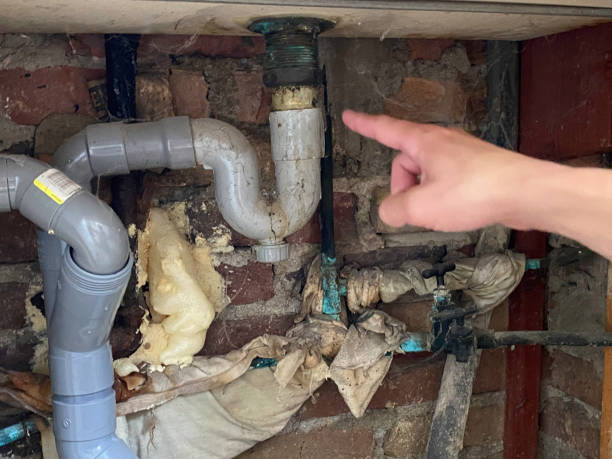 Best Flood restoration services  in University, MS